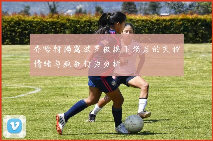 乔哈特揭露波罗被换下场后的失控情绪与疯狂行为分析