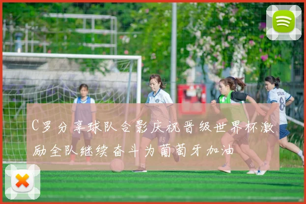 C罗分享球队合影庆祝晋级世界杯激励全队继续奋斗为葡萄牙加油