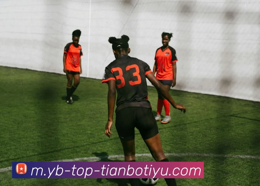 多媒体互动体验