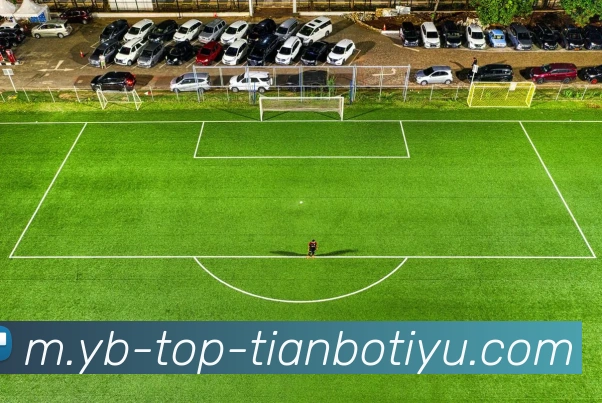 天博体育APP 高清赛事图